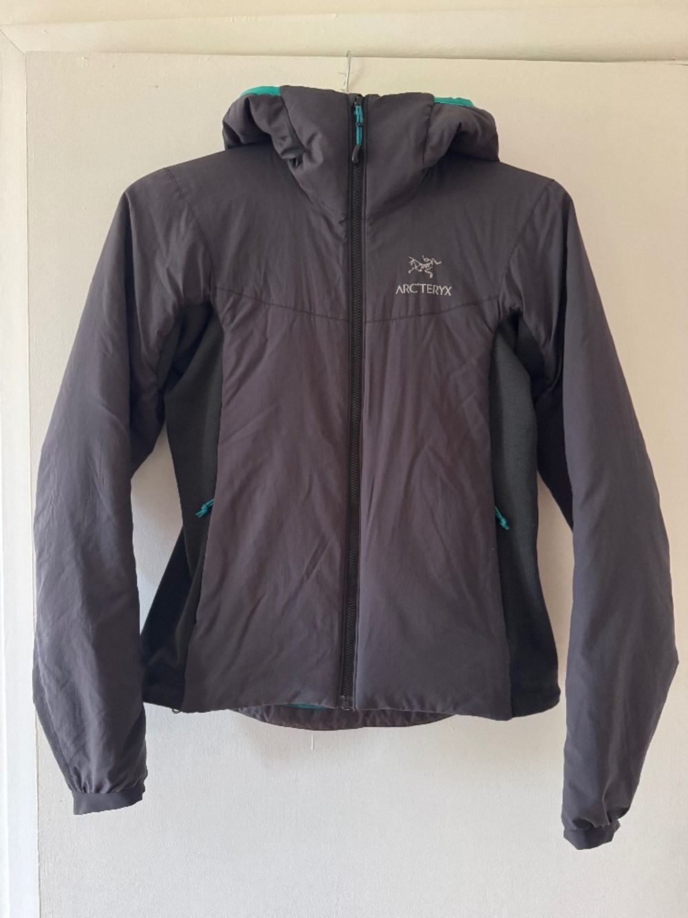 Arc'teryx Atom Hoodie
